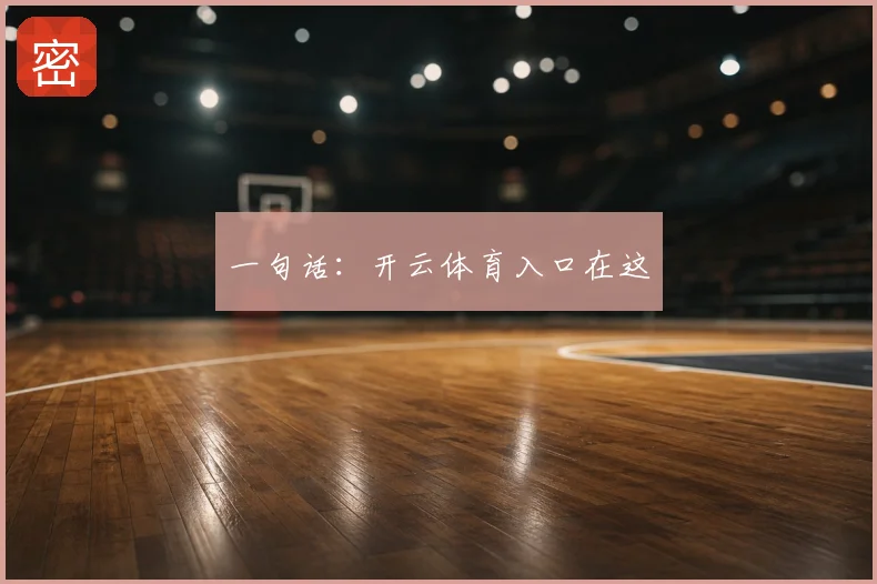 一句话：开云体育入口在这